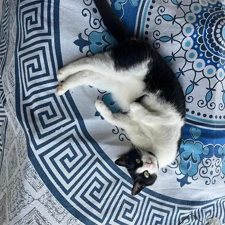 Dum U Trech Kocek-podkrovi Ubytování v soukromí *