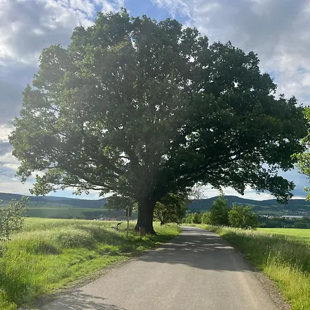 Homestay Dum U Trech Kocek-podkrovi *